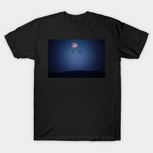 In the light of a Blood Moon T-Shirt